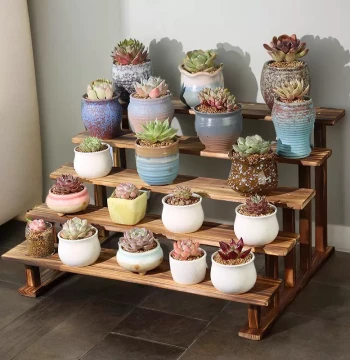 Succulent Model Figure Display Stand Solid Wood Tiered Street Stall Desktop Balcony Multi-Layer Blind Box Carbonized Flower Rack Greenery