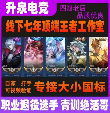Honor of Kings Power Leveling Service: National Tier Badges (Large/Small), Ranked Matches to 100 Stars, Peak Tournament Combat Power, Provincial/Gold/City Tier Badges, Cube National Server
