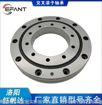 Luoyang Crossed Roller Bearing Manufacturer, Import Replacement for THK and IKO, Bearings for Robotics and CNC Indexing Tables