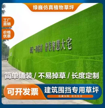 Sports Carpet Artificial Turf Plastic Grass for Kindergartens Outdoor Fencing Green Lawn Outdoor Sports Venues