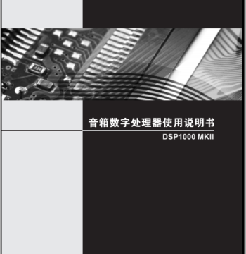 LAX Ruifeng LAX DSP1000MKII Audio Processor User Manual