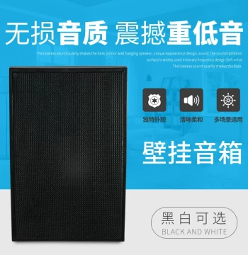 B-916A Wall-Mount Speaker Shop Broadcasting Indoor Ceiling Mount Set Background Music Horn Restaurant Audio System