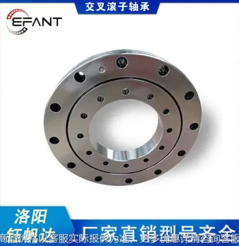 Rotary Table Bearing Manufacturer, Full Range of Models Replacing Imports for CNC Machine Tools