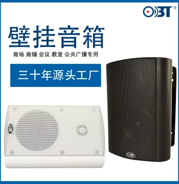 Constant Voltage Wall-Mounted Speaker 20/30/40W Public Broadcasting Background Music Audio