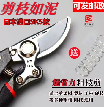 Original Japan SK5 Large Heavy-Duty Pruning Shears, Premium Branch Cutters for Gardening and Horticulture