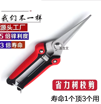 Stainless Steel Labor-saving Pruning Shears Thinning Fruit Shears Grape Shears Harvesting Sichuan Pepper Dragon Fruit Vegetable Multifunctional Gardening Scissors