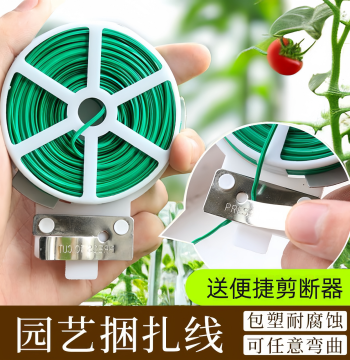 Gardening Wire Ties for Rose Climbing Plants, Fixed Flower Support Frame, Bundling Tool, Straps, Iron Wire