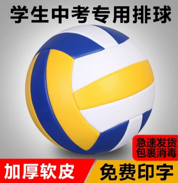 Size 5 Standard Volleyball for Middle School Entrance Exams and Size 4 Hard Volleyball for Elementary Students - Inflatable Match Ball