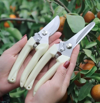 Stainless Steel Branch Pruning Shears for Fruit Picking, Flower and Tree Trimming, Grafting, and Gardening Scissors Tool