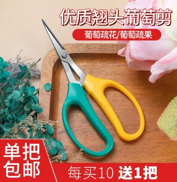 Orchard Farmer Grape Harvesting 304 Stainless Steel Upturned Tip Scissors Fruit Store Specialized Shears for Trimming Fruits and Vegetables