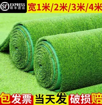 Artificial Turf Carpet Outdoor Green Fake Ground Mat Kindergarten Plastic Fake Grass Eco-Friendly Material Anti-Aging
