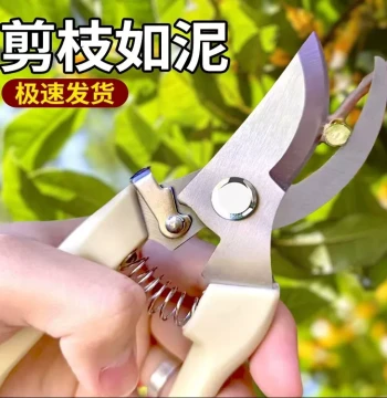 Specialized Branch Pruning Shears – Gardening Scissors for Orchard Trimming, Grafting, Heavy-Duty Fruit Harvesting, and Effortless Tree Maintenance
