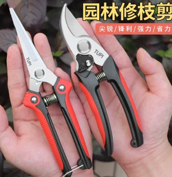 German Imported Fruit Tree Pruning Shears - Stainless Steel Household Gardening Scissors for Branches and Floral Arrangements