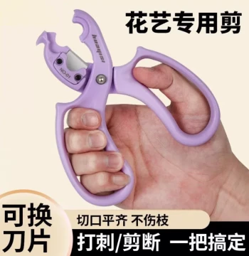[Professional] Multifunctional Floral Scissors, Fresh Flower Thorn Removal and Leaf Trimming Tool, Flower Arranging and Care Shears