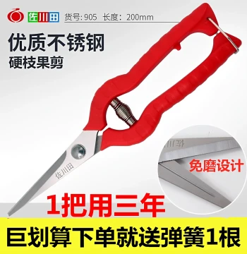 Sagawada 905 Stainless Steel Thinning Pointed Scissors for Red Plum, Grapes, Strong Tomato and Fruit Tree Pruning, Lightweight Orchard Shears