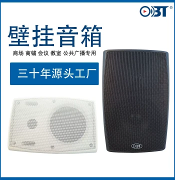 Public Address Constant Voltage Wall-Mount Speaker for Background Music, 4/5/6/8 inch