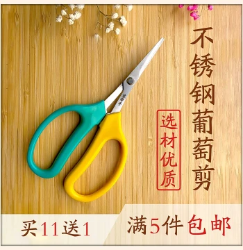Upturned Tip Grape Fruit Thinning Scissors, Specialized Pruning Shears for Fruit Thinning, Pepper Harvesting, Loquat and Orange Picking, Branch Trimming