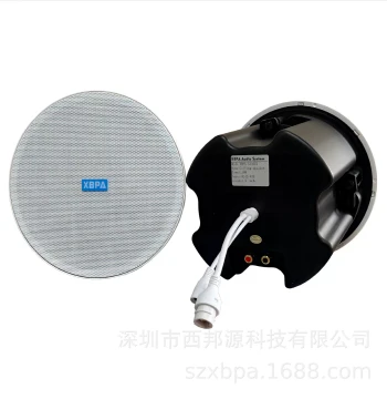 Bank, Mall, School, Conference, and Office Embedded Ceiling-Mounted Narrow-Bezel IP Network Speaker 30W 60W