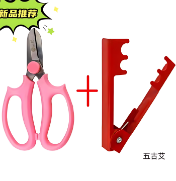 Floral Arrangement Scissors, Flower Cutting Shears, Rose Thorn Remover Pliers, Florist Tool Set