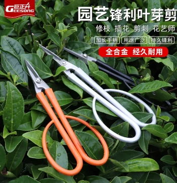 Stainless Steel Bonsai Pruning Shears for Shaping Leaves and Buds, Orchid Division Scissors, Bud Trimming and Branch Cutting Tools