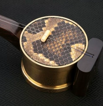 New Professional Ebony Zhuiqin Musical Instrument Performance Purple Sandalwood Zhuhu Cast Tube Luju Opera Factory Direct Sales with Box and Accessories