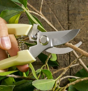 Stainless Steel Heavy-Duty Garden Pruning Shears for Home Flower Trimming, Fruit Harvesting, Sichuan Pepper Picking, and Grafting