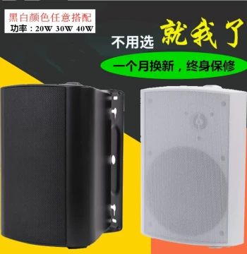 40W Speaker, Indoor Sound System, Wall-Mounted Horn, Campus Broadcast System with Amplifier, Stereo Sound