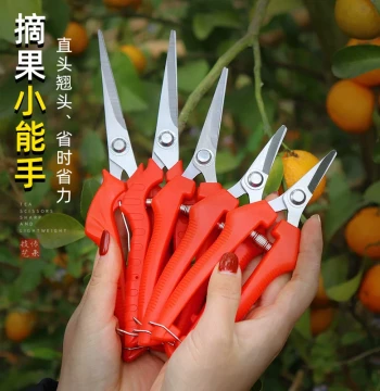 Fruit Harvesting Shears, Sichuan Pepper Picking Scissors, Flower Branch Trimmer, Grape and Fruit Pruning Tool