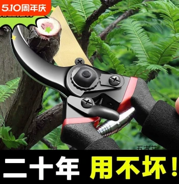 Branch Scissors, Heavy-Duty Pruning Shears, Garden Flower Branch Cutters, Horticultural Thick-Branch Trimmers, High-Hardness Floral Pruning