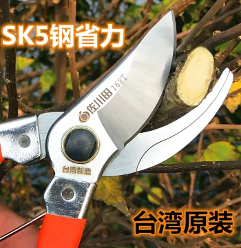 Sagawada 168T Pruning Shears: Imported Steel Heavy-Duty Fruit Tree Scissors for Effortless Branch Trimming