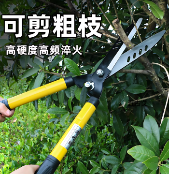 Lawn Trimming Shears for Landscaping, Garden Pruning Tools for Nurseries, Tea Tree and Flower Branch Cutters