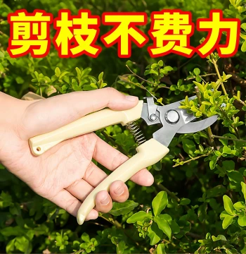 Garden Pruning Shears, Floral Scissors for Trimming Branches, Fruit Trees, and Flowers