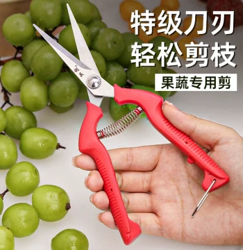 Specialized Fruit and Vegetable Shears for Pruning Grape Vines, Lychee Harvesting, Flower Trimming, and Branch Cutting by Liguan