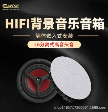 Waltz L6 Home Background Music System: Ceiling Speakers with Embedded Separated Tweeters for Stereo Sound