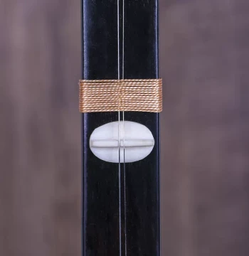 Ebony Zhuiqin Professional Performance African Purple Sandalwood Scroll Zhuihu Ebony Zhuihu Musical Instrument with Accessories