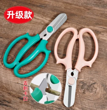 Florist Scissors for Trimming Fresh Flowers Arrangement Stem Cutting Thorn Removal Professional Tools