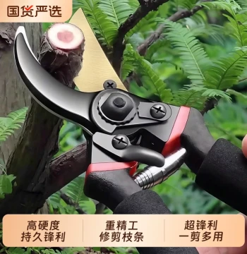Jinggong Branch Cutting Scissors Pruning Shears Fruit Tree Scissors Flower Garden Gardening Spring Scissors Pruning Floral Trimming