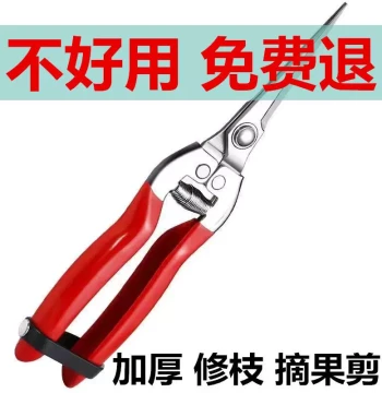 Stainless Steel Fruit Thinning Shears Fruit Flower Branch Scissors Grape Shears Sichuan Pepper Shears Flower Picking Fruit Picking Scissors Branch Pruning