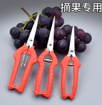 Heavy-Duty Fruit Picking and Pruning Shears - Specialized Scissors for Thinning, Grape Pruning, and Harvesting Fruits and Vegetables