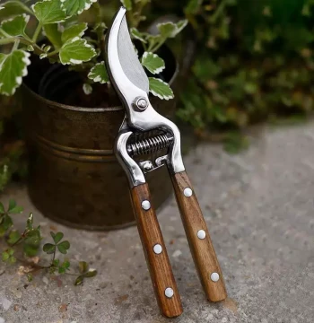 German and Japanese Imported Technology Ash Wood Handle Pruning Shears for Floristry, Gardening, Fruit Tree Branch Trimming, and Flower Cutting
