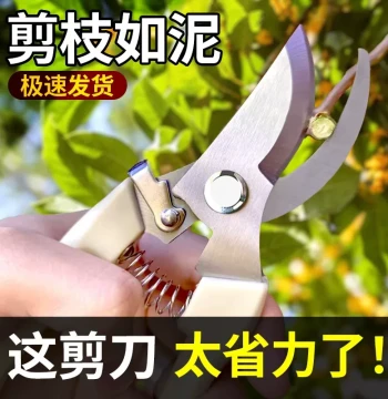 Gardening Pruning Shears: Heavy-Duty Garden Scissors for Branches and Flowers, Labor-Saving Home Tool