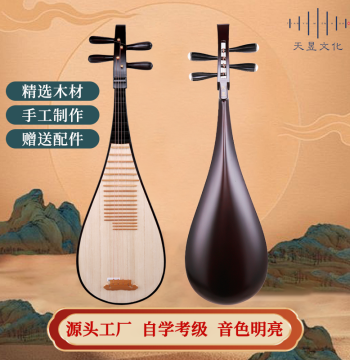 Tianyu Pipa for Adults and Children, Beginner Self-Study to Professional Performance, African Rosewood Pipa Musical Instrument