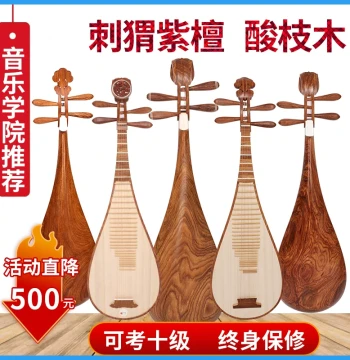 Pipa Instrument Rosewood Red Sandalwood Beginner Children Medium Adult Teaching Exam Performance Handcrafted Pipa Manufacturer