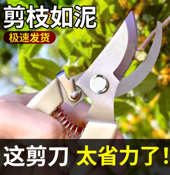 Heavy-Duty Pruning Shears for Fruit Trees and Garden Flowers