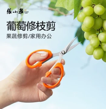 Zhang Xiaoquan Grape Fruit Pruning Scissors Specialized Pointed Shears for Harvesting Loquats and Oranges, Flower and Fruit Thinning Shears