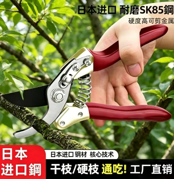 Labor-saving Fruit Tree Branch Pruning Shears Thick Branch Scissors Tree Clippers Branch Cutting Scissors Flower Branch Pruning Household Gardening Tools