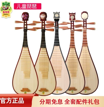 Dunhuang Pipa 594 Children's Beginner Practice 597/572 Standard Adult Grading Instrument Original Factory Bag Full Set Accessories