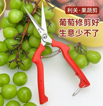 Fruit Shop Grape Shears Fruit Picking Scissors Specialized for Fruits Flower Pruning Vegetable Fruit Branch Thinning Liguan Fruit Picking Small Scissors