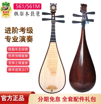 Dunhuang Pipa 561/560M, Ironwood and Rosewood Solid Body with Ebony Pegs, Intermediate Professional Grade Instrument for Exams and Performance
