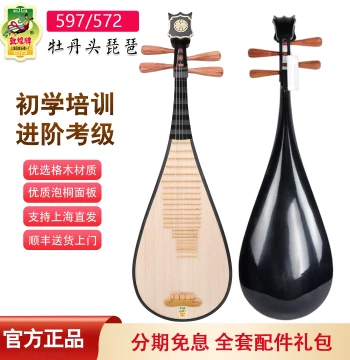 Dunhuang Pipa for Adults and Beginners, Standard Practice Models 597/572, Solid Wood Examination Instrument Set [Dunhuang Official Store]